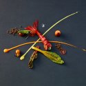 Kunstvoll angerichtete Langoustine mit Gemüse und feinen Saucen im Restaurant Haberbüni